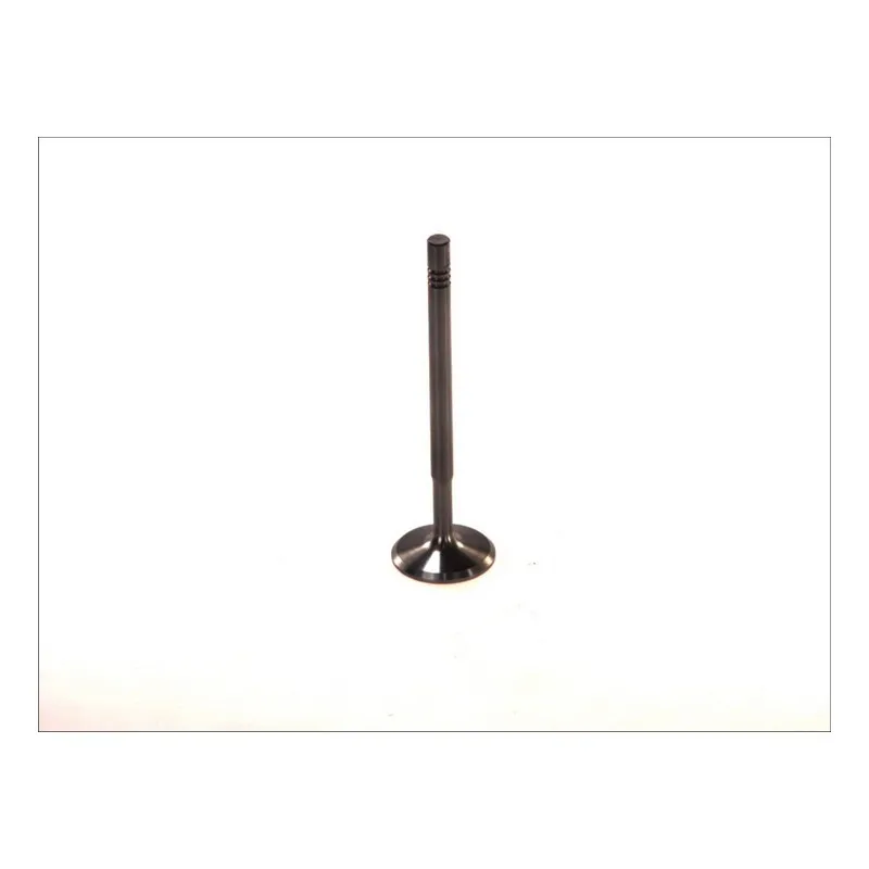 Soupape d'admission PARADOWSCY PFIA045