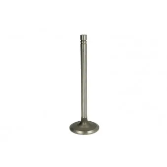 Soupape d'admission PARADOWSCY PCAT009