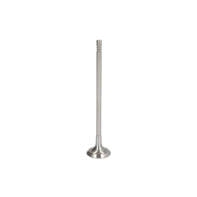 Soupape d'émission PARADOWSCY PFIA300