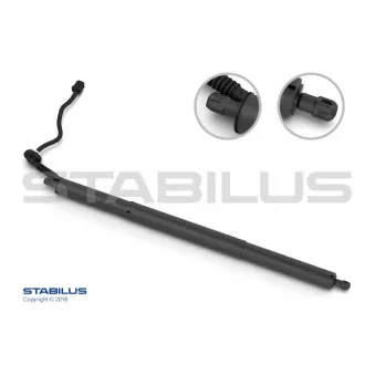 Moteur électrique, hayon STABILUS