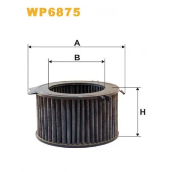 Filtre, air de l'habitacle WIX FILTERS WP6875