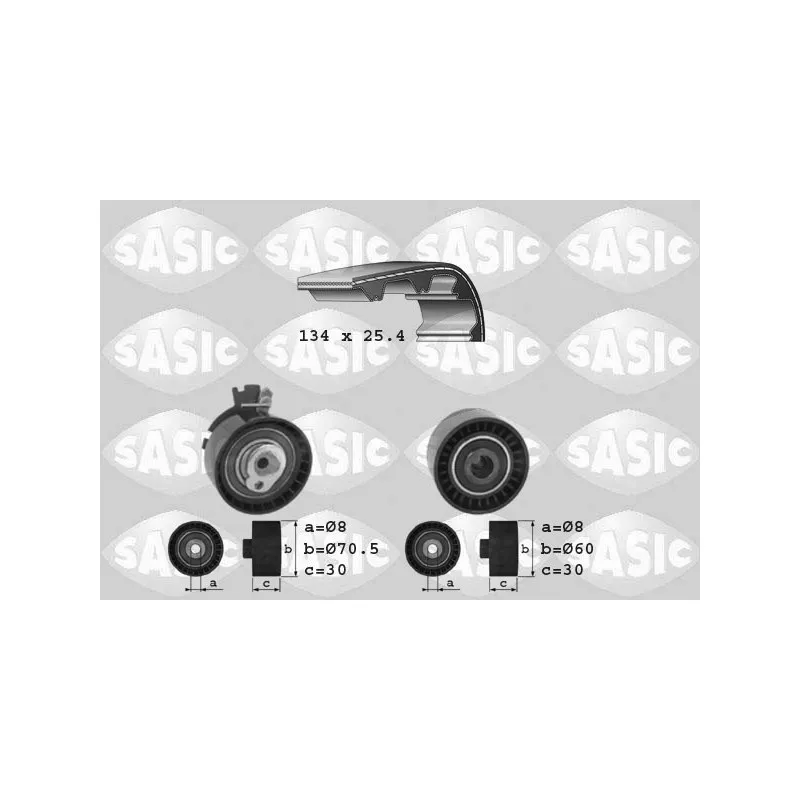 Kit de distribution SASIC 1750006