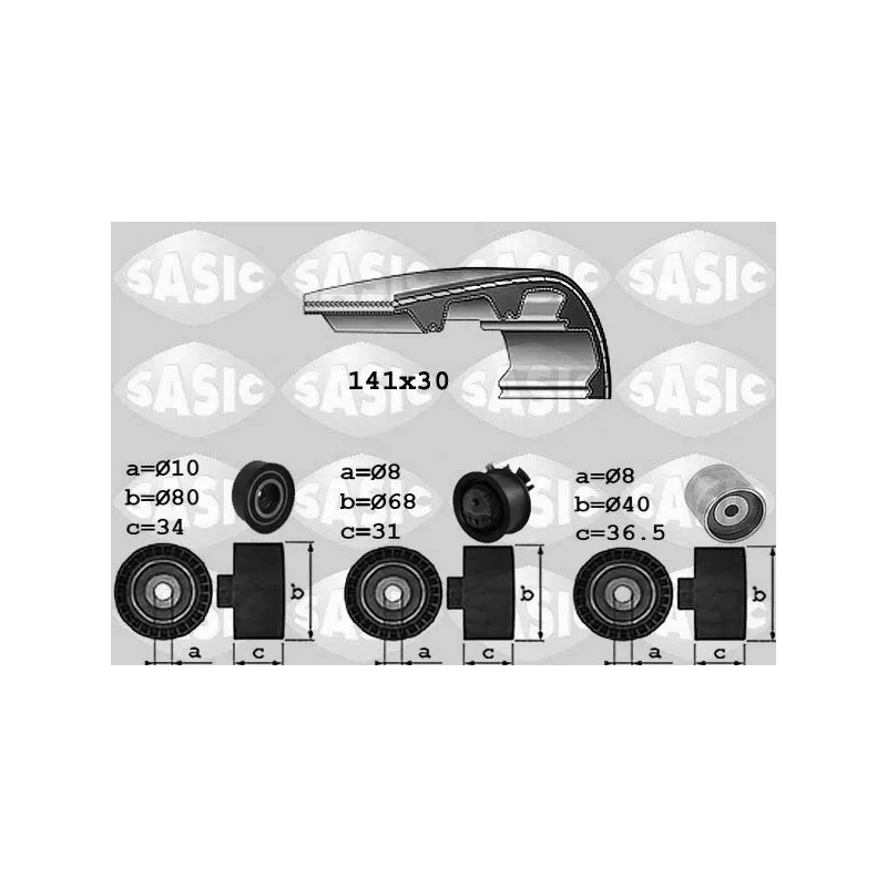 Kit de distribution SASIC 1756021