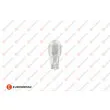 Ampoule, feu clignotant EUROREPAR 1616431780 - Visuel 2