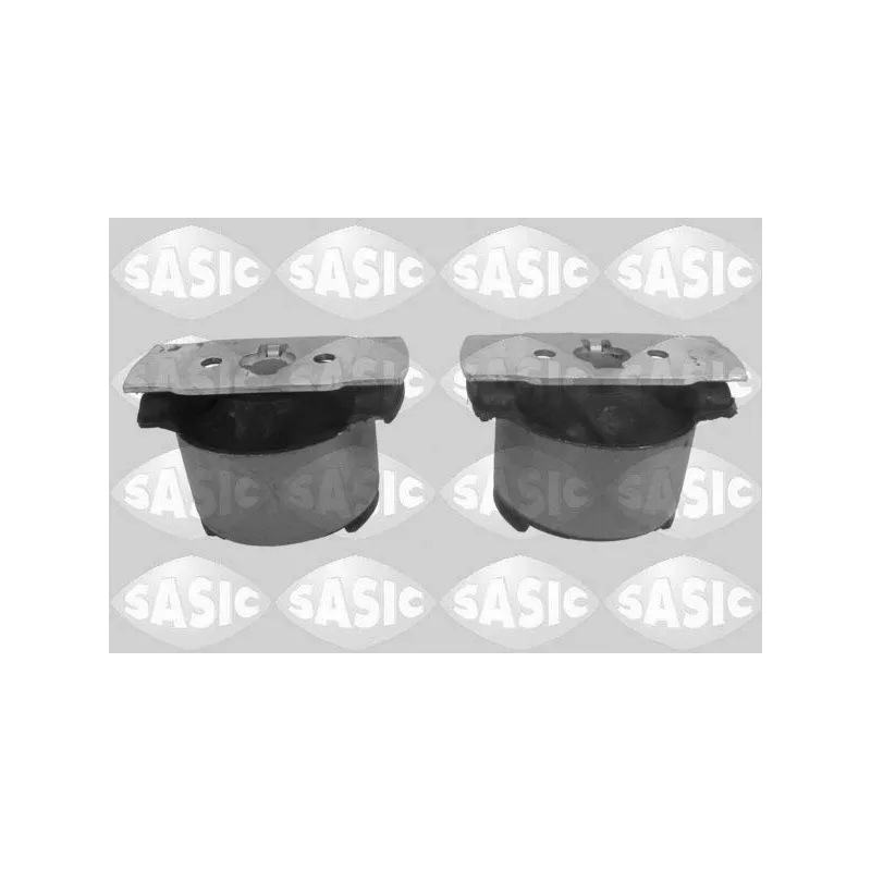 Kit de réparation, corps de l'essieu SASIC 2604007