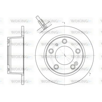 Jeu de 2 disques de frein arrière WOKING D6020.00