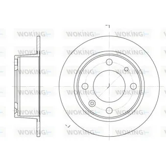 Jeu de 2 disques de frein arrière WOKING D6021.00