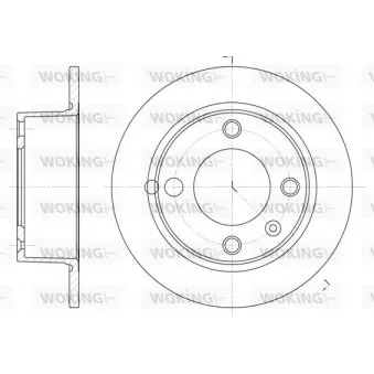 Jeu de 2 disques de frein arrière WOKING D6023.00