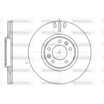 Jeu de 2 disques de frein arrière WOKING D61051.10