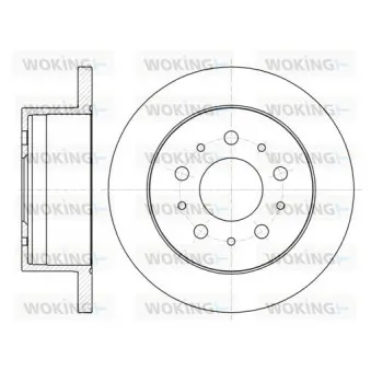 Jeu de 2 disques de frein arrière WOKING D61055.00