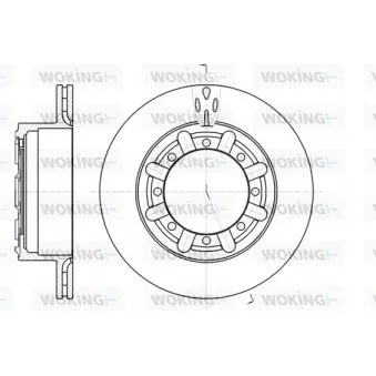 Jeu de 2 disques de frein arrière WOKING D61170.10
