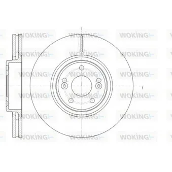 Jeu de 2 disques de frein avant WOKING D61171.10