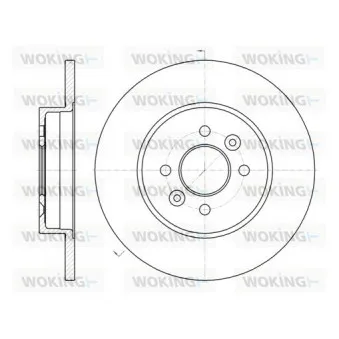 Jeu de 2 disques de frein arrière WOKING D61176.00