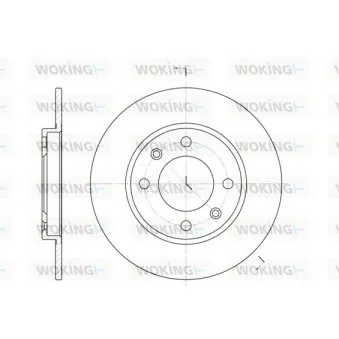 Jeu de 2 disques de frein arrière WOKING