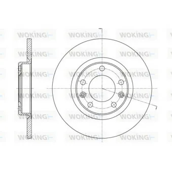 Jeu de 2 disques de frein arrière WOKING D61555.00