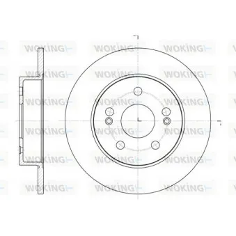 Jeu de 2 disques de frein arrière WOKING D6239.01