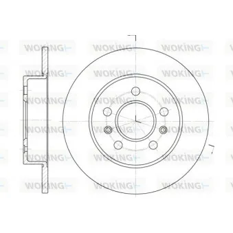 Jeu de 2 disques de frein arrière WOKING D6239.02