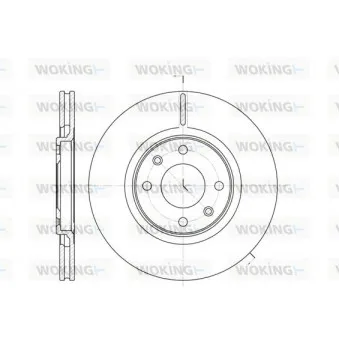 Jeu de 2 disques de frein avant WOKING D6306.10