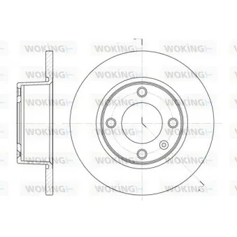 Jeu de 2 disques de frein arrière WOKING D6433.00