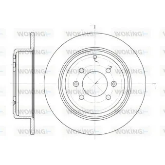 Jeu de 2 disques de frein arrière WOKING D6498.00