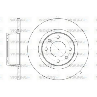 Jeu de 2 disques de frein arrière WOKING D6605.00