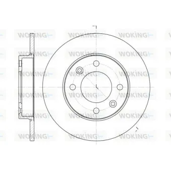 Jeu de 2 disques de frein arrière WOKING D6630.00