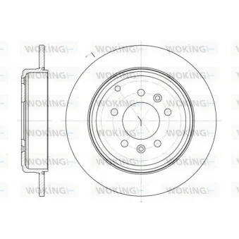 Jeu de 2 disques de frein arrière WOKING D6692.00