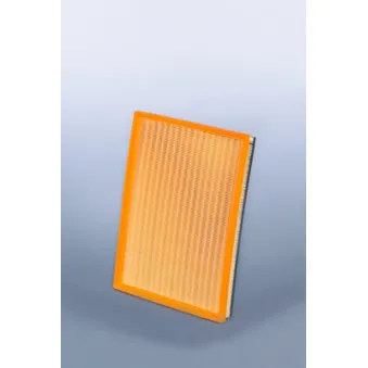 Filtre à air FLEETGUARD AF27833