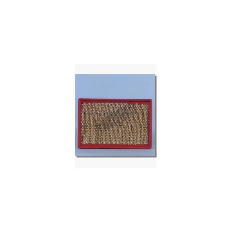 Filtre à air FLEETGUARD AF4619