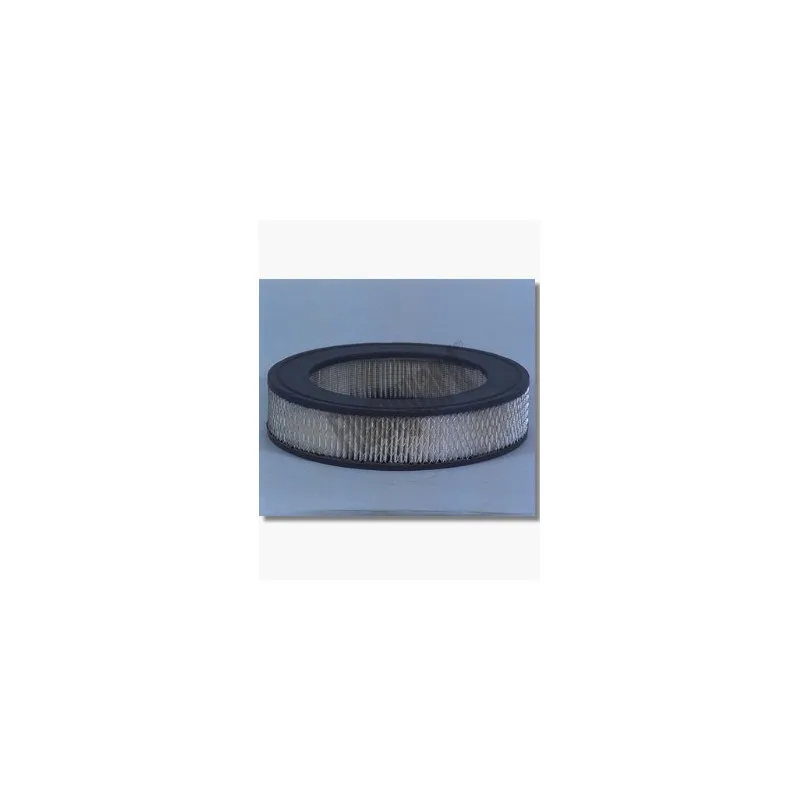 Filtre à air FLEETGUARD AF484