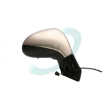 Rétroviseur extérieur SPJ E-2153