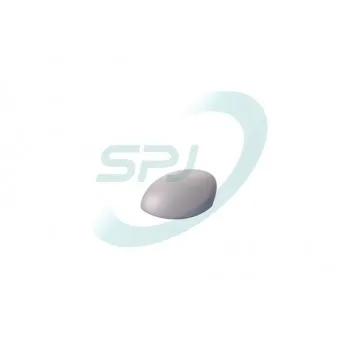 Revêtement, rétroviseur extérieur SPJ V-0034