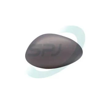 Revêtement, rétroviseur extérieur SPJ V-0106