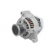 Alternateur STARDAX STX100005 - Visuel 1