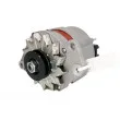 Alternateur STARDAX STX100314 - Visuel 1