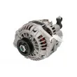 Alternateur STARDAX STX100506 - Visuel 1