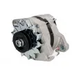 Alternateur STARDAX STX100698 - Visuel 1