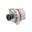 Alternateur STARDAX STX101024 - Visuel 1