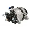 Alternateur STARDAX STX101089 - Visuel 2