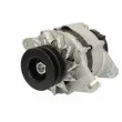 Alternateur STARDAX STX101144 - Visuel 1