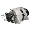 Alternateur STARDAX STX101224 - Visuel 2