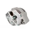 Alternateur STARDAX STX101226 - Visuel 2