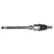 Arbre de transmission avant droit POINT GEAR PNG70249 - Visuel 3