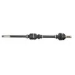Arbre de transmission avant droit POINT GEAR PNG70482 - Visuel 1