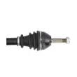 Arbre de transmission avant gauche POINT GEAR PNG70584 - Visuel 2