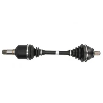 Arbre de transmission avant droit POINT GEAR PNG72539