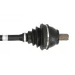 Arbre de transmission avant droit POINT GEAR PNG72539 - Visuel 2