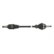 Arbre de transmission avant gauche POINT GEAR PNG72874 - Visuel 1