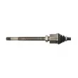 Arbre de transmission avant droit POINT GEAR PNG72918 - Visuel 3