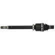 Arbre de transmission avant droit POINT GEAR PNG73195 - Visuel 3